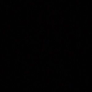 Meet your Posher, Cedarius